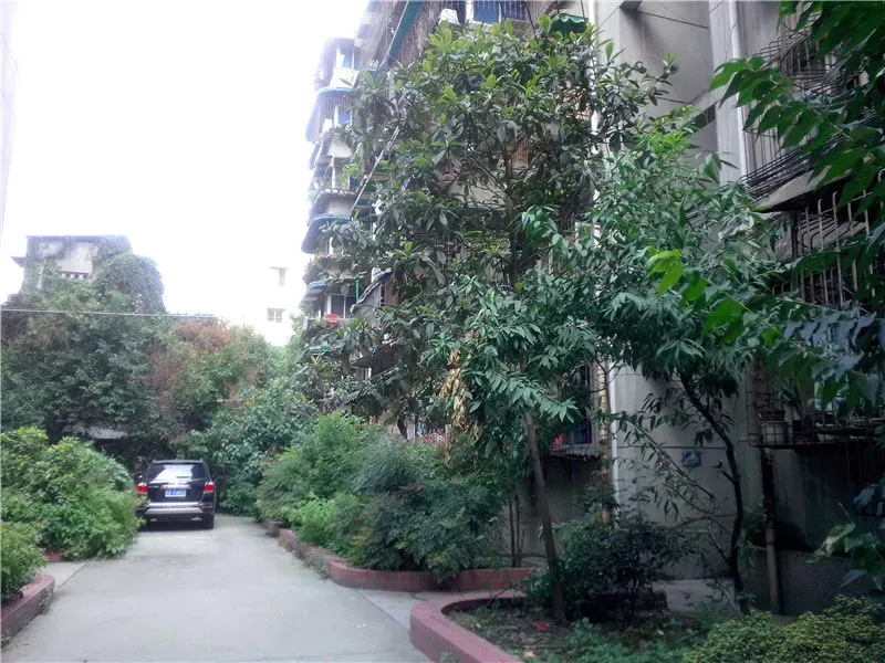 菊乐路180号院2室1厅1卫南朝向2000.00元/月出租