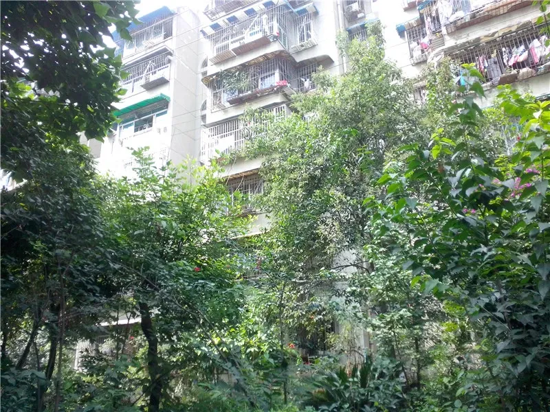 整租·金竹苑A区 3室1厅 东南/南