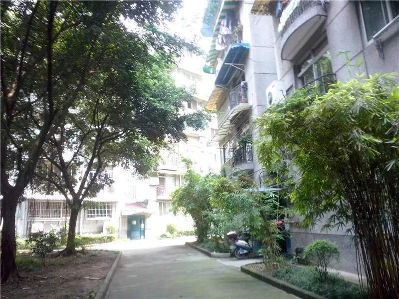 整租·金竹苑C区 2室1厅 东南/西南