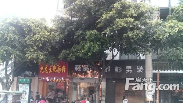 整租·上南街57号附1号 2室2厅 南