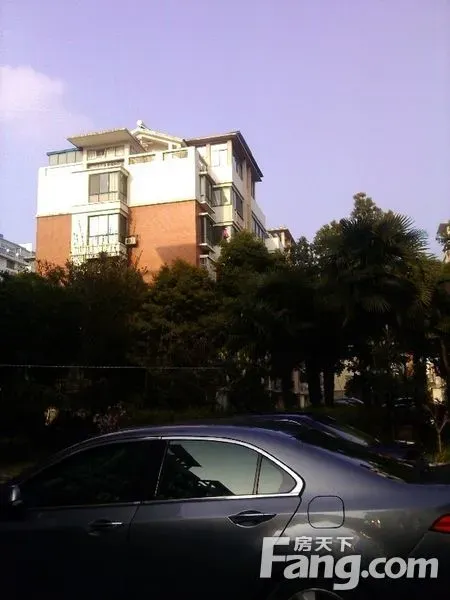 金鹰花苑3室1厅1卫南朝向1300.00元/月出租