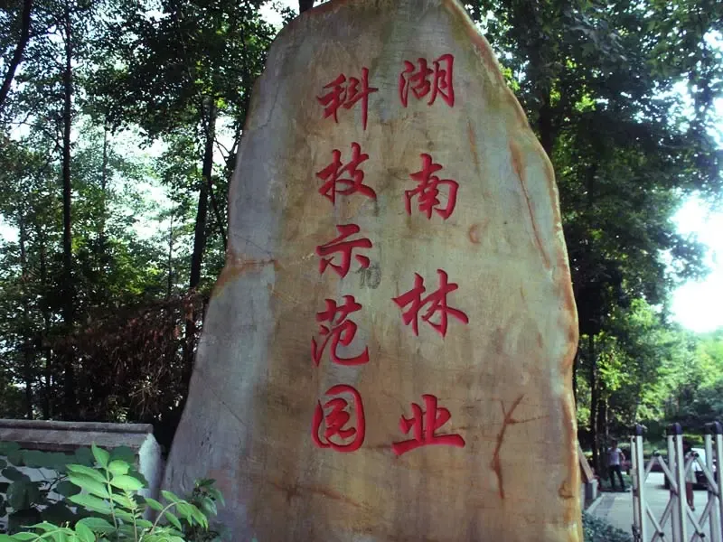 长房半岛蓝湾配套图