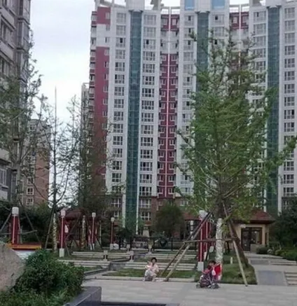 升龙世纪花园壹区1室1厅1卫北朝向1250.00元/月出租