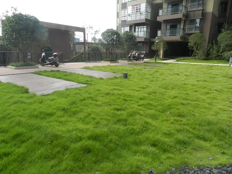 碧桂园公园壹号3室2厅2卫北朝向1800.00元/月出租