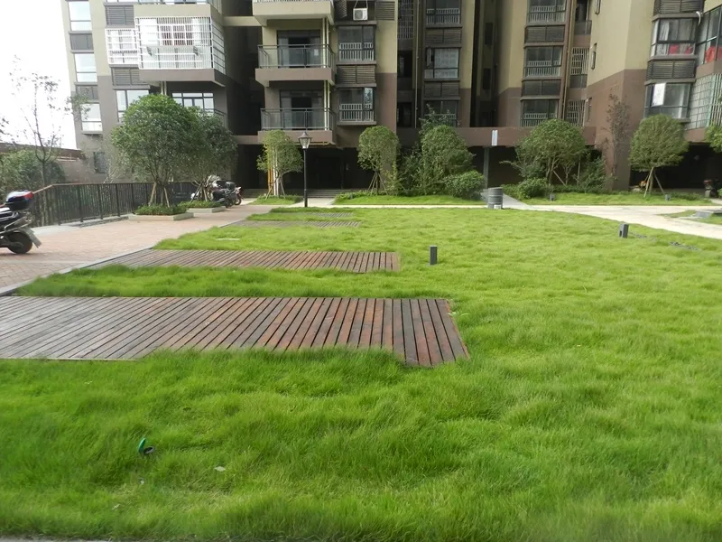 碧桂园公园壹号3室2厅2卫南北朝向1680.00元/月出租