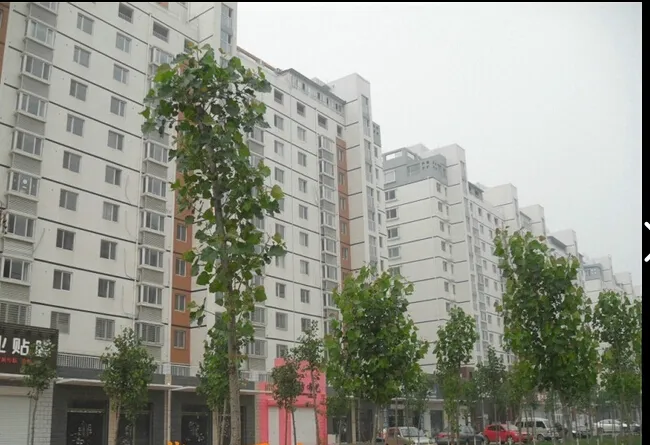 整租·秀兰城市绿洲北区 2室1厅 南/北