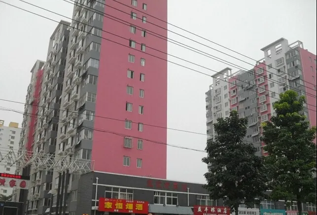 整租·紫横家园东区 3室1厅 南
