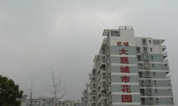 整租·武城大观城市花园一期4室1厅