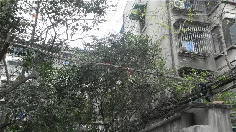 整租·百寿路7号 2室1厅 南