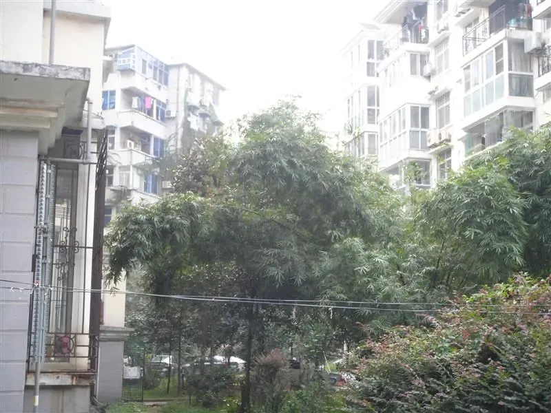 荣校教师小区2室1厅1卫南北朝向2900.00元/月出租
