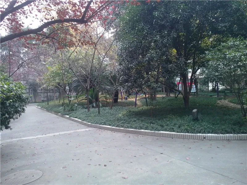 高新供电局宿舍4室2厅2卫南朝向4600.00元/月出租