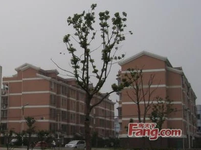 淞泽家园三区外景图