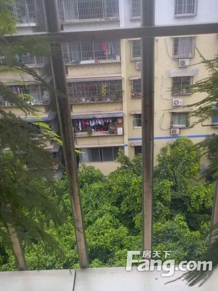 纪经委家属院二手房实景图