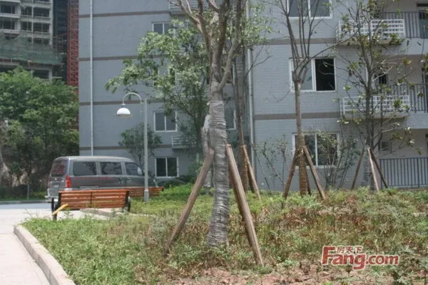 重庆铜梁龙轩大地的房价是多少-房价走势-房天