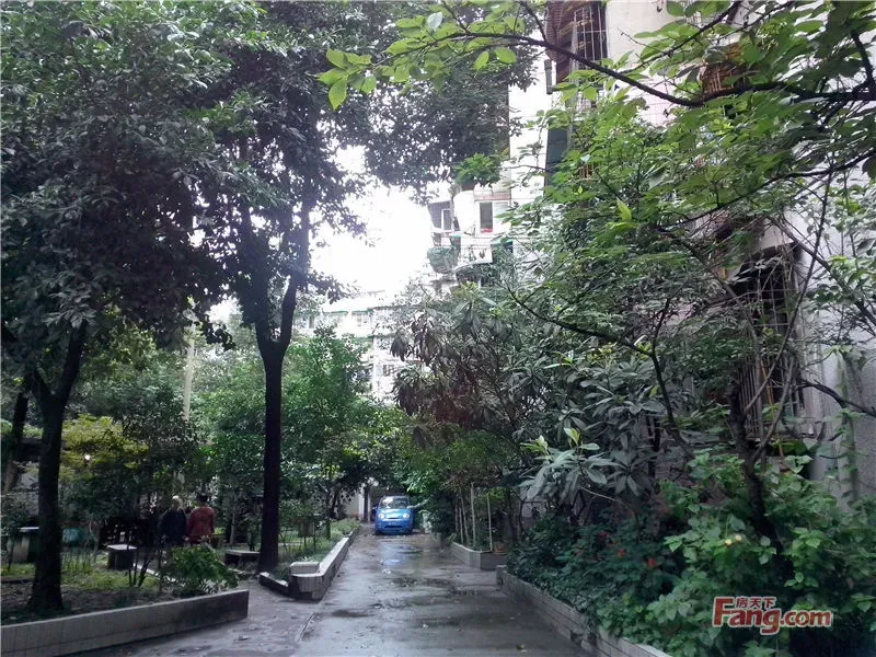 整租·白云巷2号 2室1厅 东