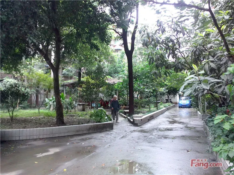 白云巷社区3室1厅1卫西南朝向2500.00元/月出租