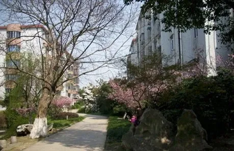 庆丰小区3室1厅1卫南北朝向2500.00元/月出租