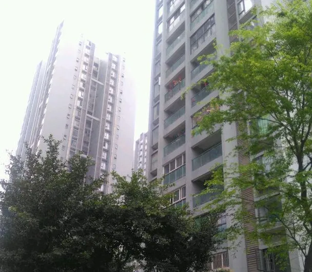 上河居(温江)3室1厅2卫东南朝向1000.00元/月出租