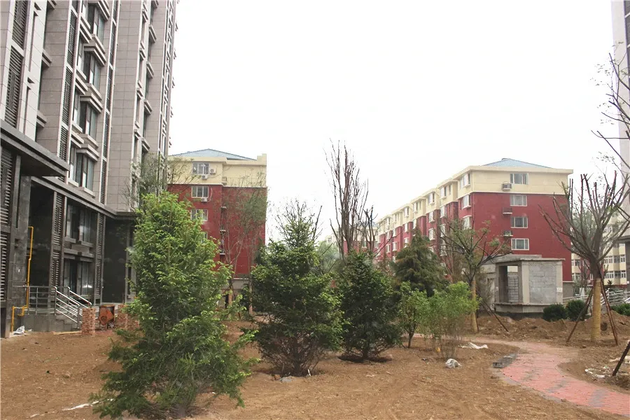 中科·紫峰2室2厅2卫南北朝向1600.00元/月出租