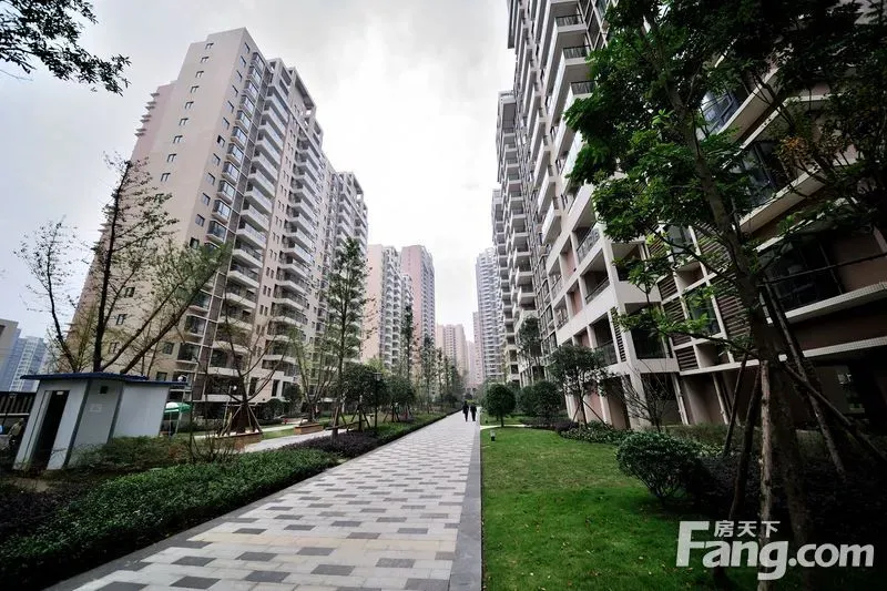 整租·黄金时代(高新区)3室1厅