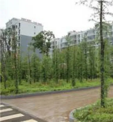边防家园小区3室2厅2卫东南朝向2000.00元/月出租