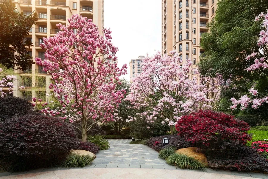 雅居乐十里花巷4室1厅2卫南朝向500.00元/月出租