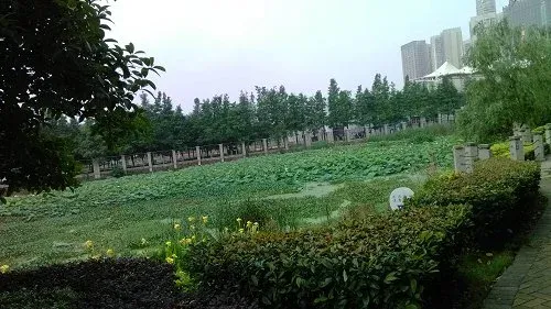金桥太子湖1号别墅2室1厅1卫南朝向1700.00元/月出租