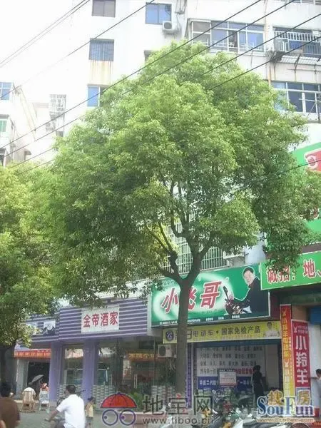 进贤仓印刷厂宿舍3室2厅1卫南朝向1800.00元/月出租