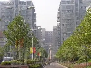 陈家桥一开发区二手房实景图