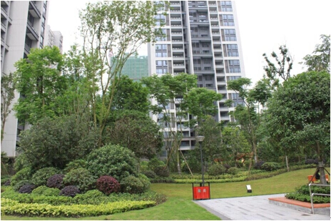 招商花园城青园外景图