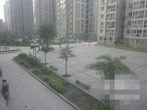 九州花园2室1厅1卫南北朝向1300.00元/月出租