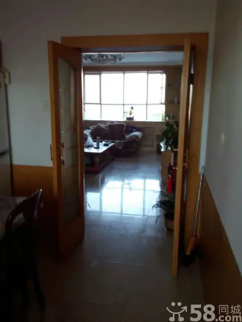 西菜园乡政府家属楼2室1厅1卫南朝向700.00元/月出租