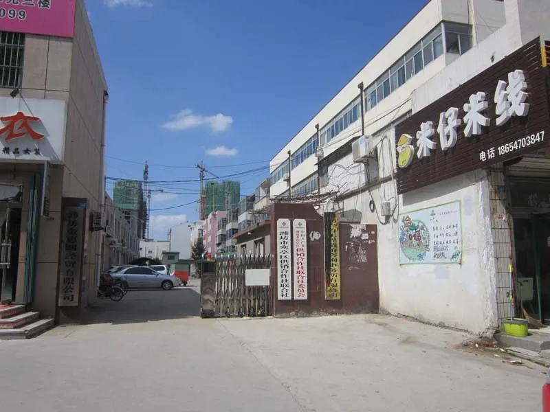 整租·供销社家属院 2室1厅 南/北