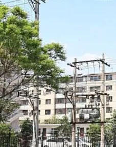 土地局家属院2室1厅1卫南北朝向1300.00元/月出租