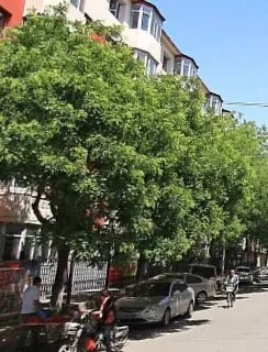 畜牧厅家属楼2室1厅1卫南北朝向2100.00元/月出租