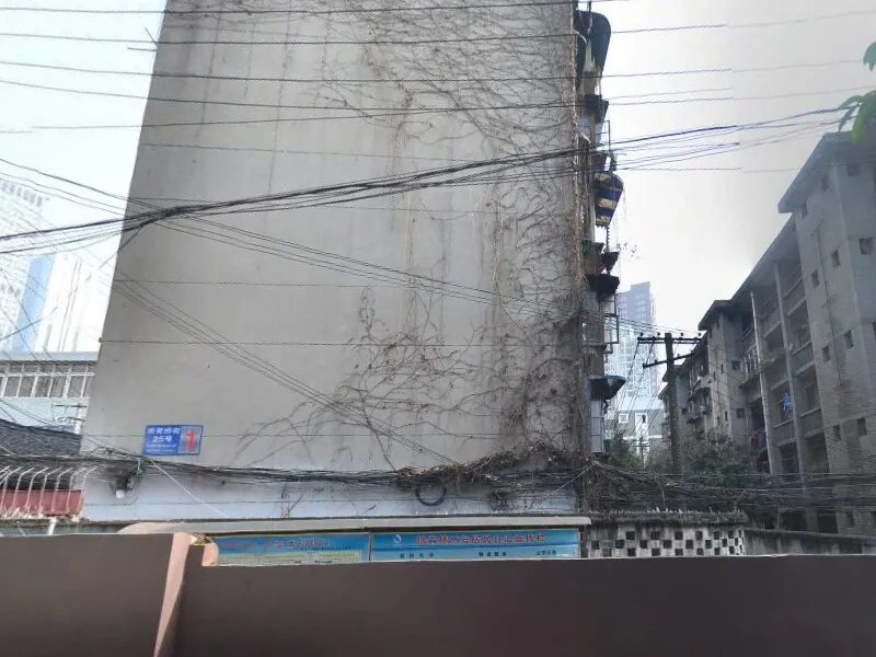 拱背桥街25号院2室1厅1卫东南朝向1900.00元/月出租