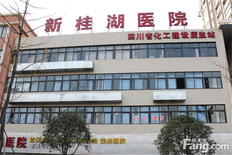 :新桂湖医院