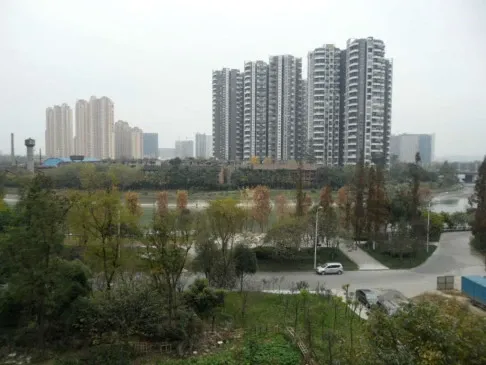 桂溪苑2室2厅1卫南朝向3700.00元/月出租