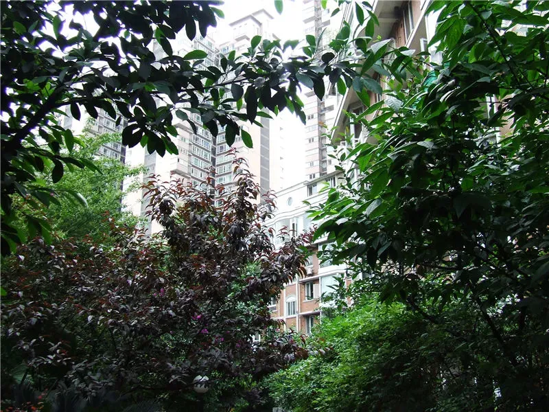 致瑞雅苑A区2室2厅1卫东南朝向3500.00元/月出租