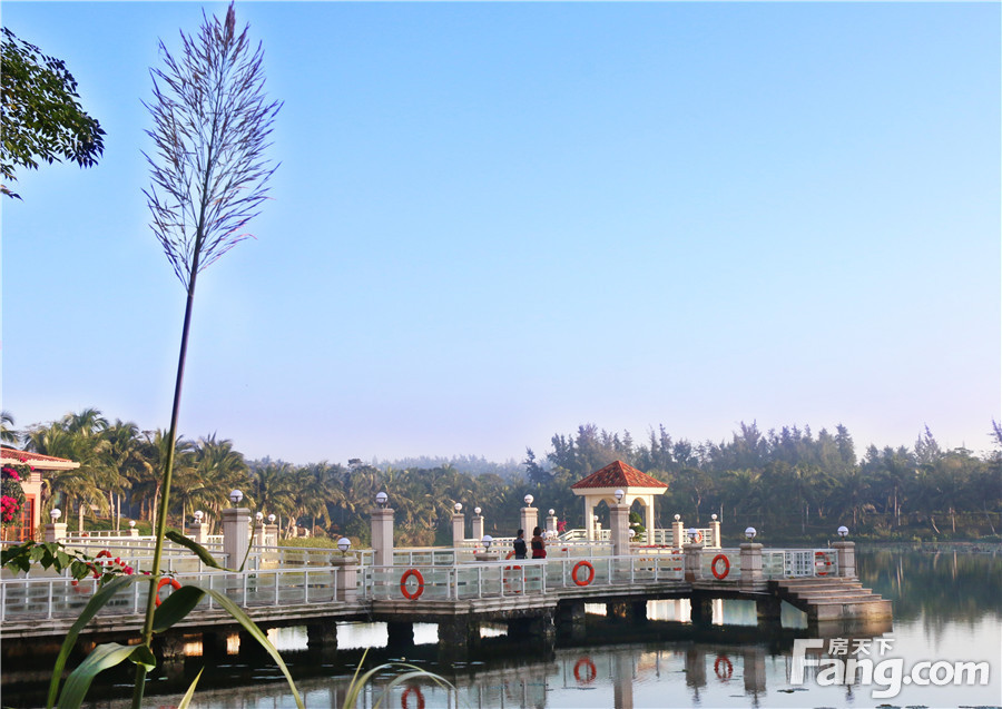 实景图:碧桂园东海岸 园林景观2015-12-29