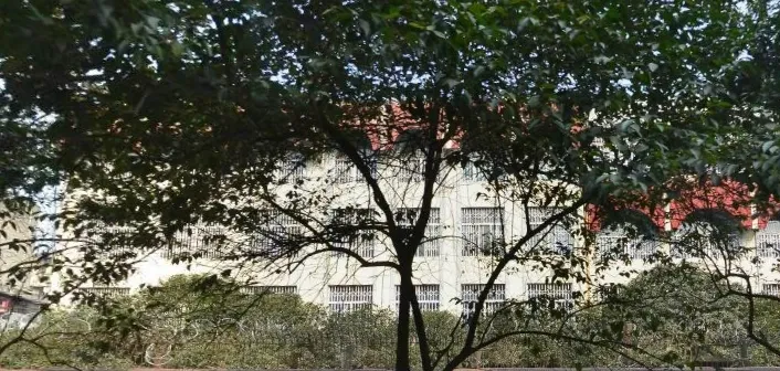 为民路87号院2室1厅1卫南朝向1700.00元/月出租