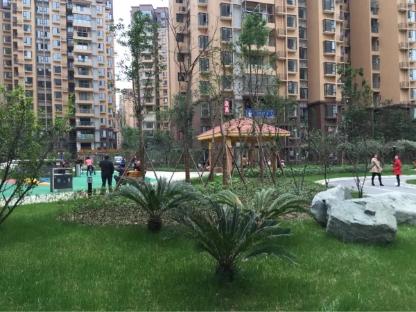 整租·民兴苑1室1厅