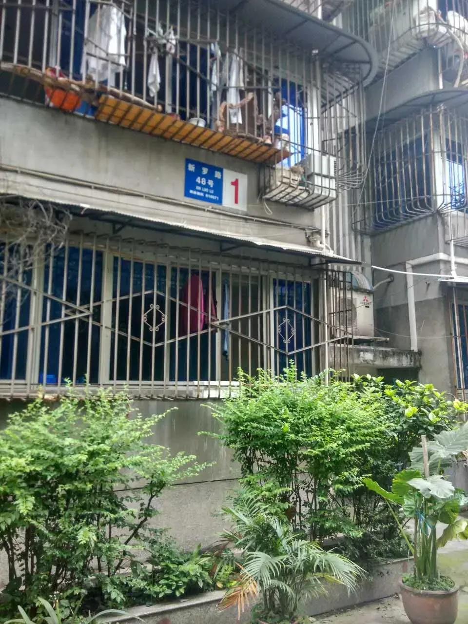 新罗路48号院3室1厅1卫东南朝向2600.00元/月出租