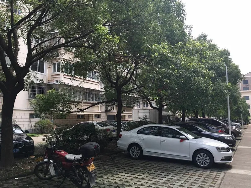 西湖南裕4室1厅2卫南朝向2500.00元/月出租