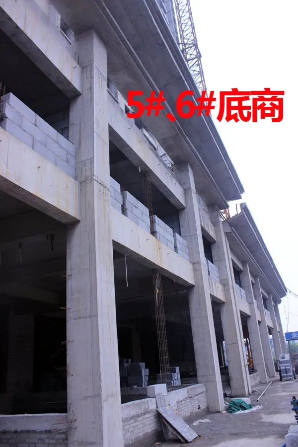 水岸国际观景阁3室2厅2卫南北朝向2699.00元/月出租