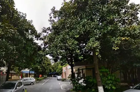 整租·德胜新村 2室1厅 南