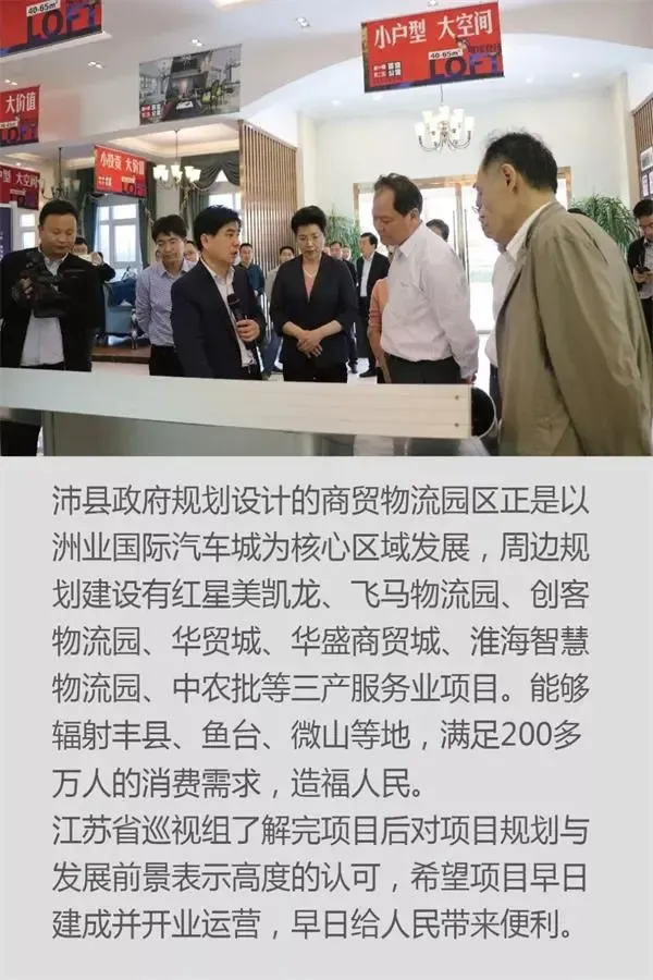 荒原中的生命密码：黄沙石子的故事
