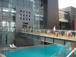 中外艺术家游南翔暨金地格林世界联谊活动 中外艺术家游南翔暨金地格林世界联谊活动