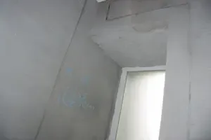 (独家)托乐嘉验房记 (独家)托乐嘉验房记