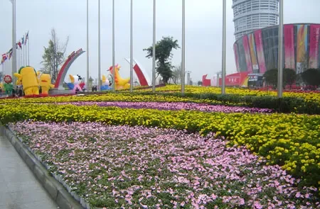 花舞成都 住福中国 中江国际花城亮相第六届花博会 花舞成都 住福中国 中江国际花城亮相第六届花博会